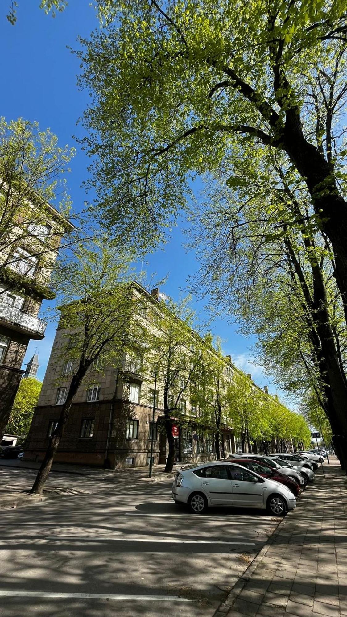 Heritage House Dane Apartment Klaipeda Bagian luar foto